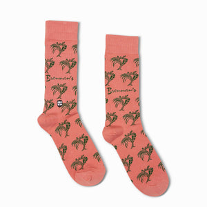 Brennan's x Bonfolk Socks